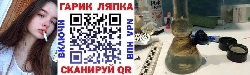 где купить наркоту  Новозыбков  ГАШ Cannabis 