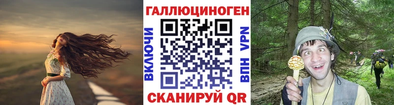 Псилоцибиновые грибы мухоморы Новозыбков